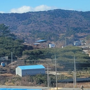 푸른적산 이미지
