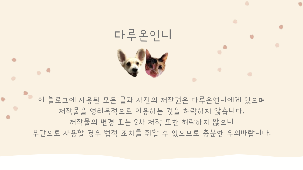 리엘주뷰티 이미지