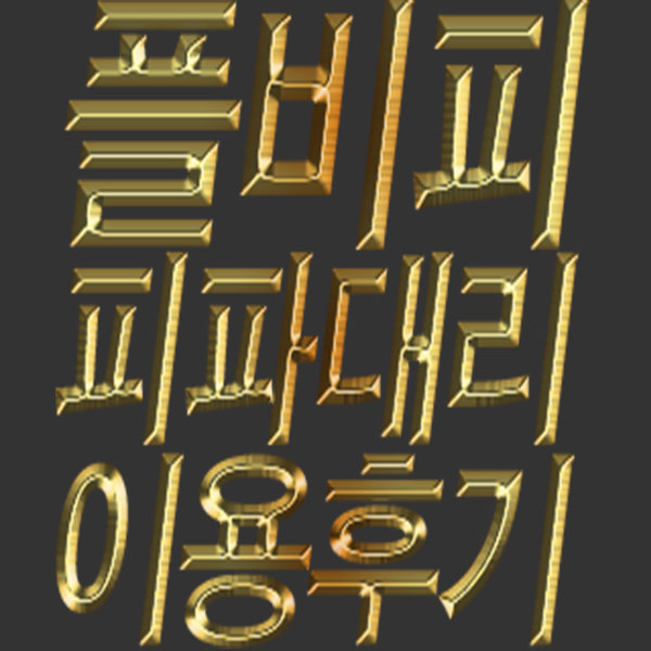 플비 이미지