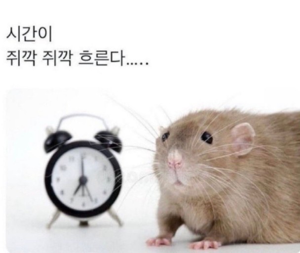 추억카페 이미지