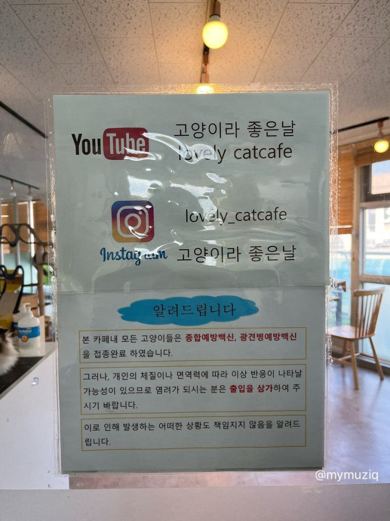 고양이라좋은날 이미지