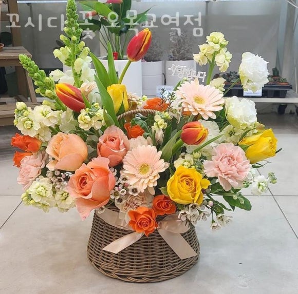 꼬시다;꽃 이미지