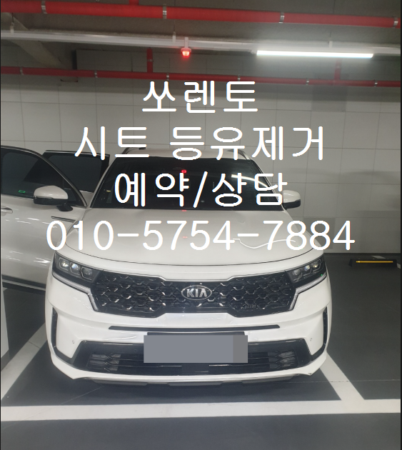 자동차에어컨청소냄새제거실내에바크리닝업체 이미지