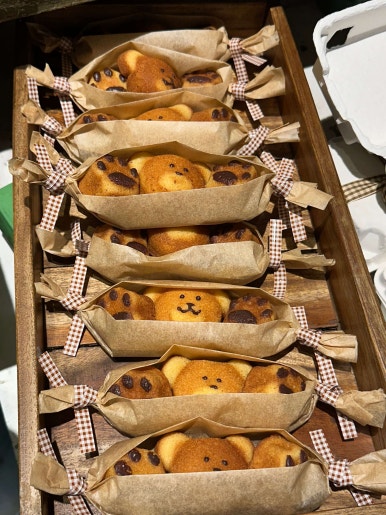 테디스베어 이미지