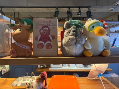 퓨리티카페 이미지