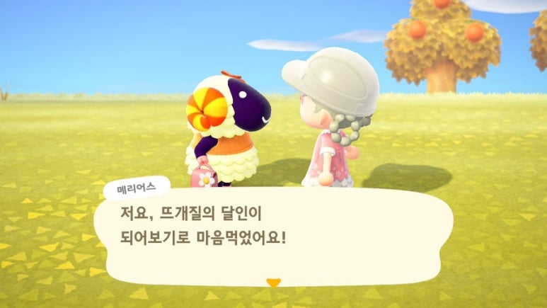 모양돌 이미지