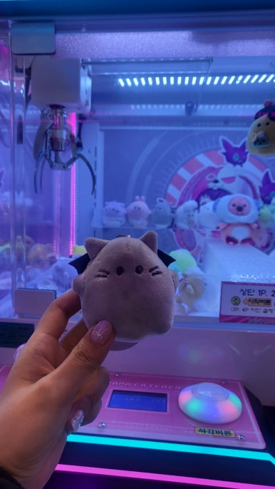 뽀꼬팡 이미지