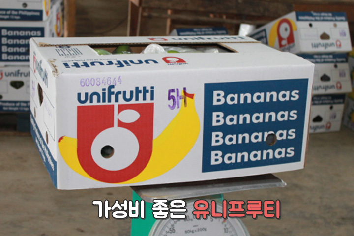 진차이 이미지