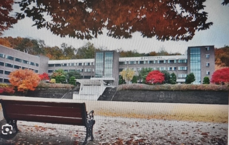 분당영덕여자고등학교 이미지