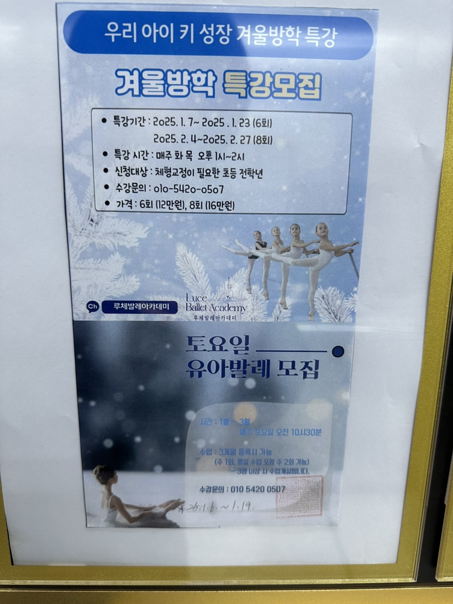 루체발레아카데미 이미지