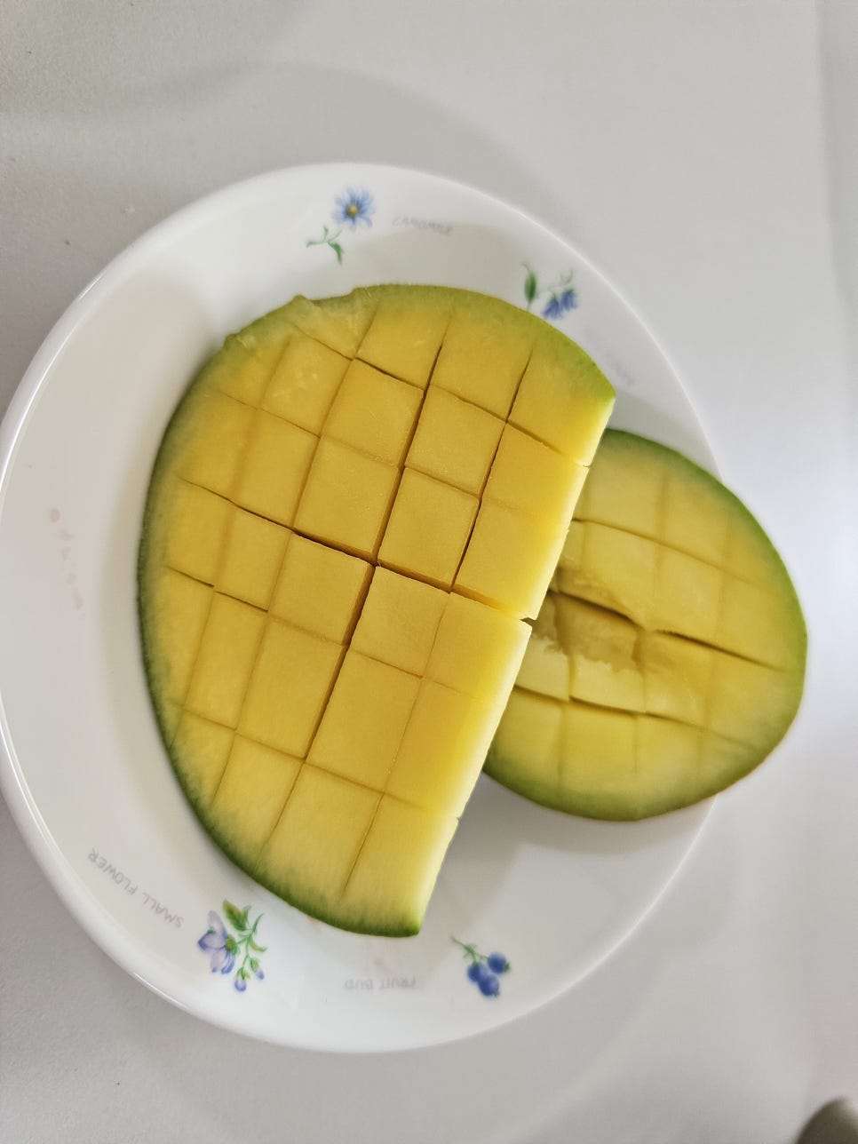 토핑컴퍼니 이미지