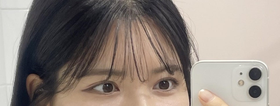 오니브로우 이미지
