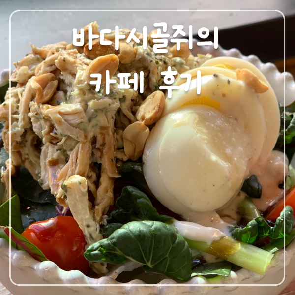 디올리 이미지