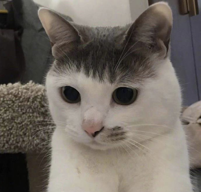 함*웅 이미지