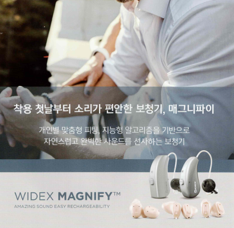 2025년 정부지원 보청기(보조기기) 가격표(Price List) - 7. 와이덱스(Widex) — 원문 이미지 3