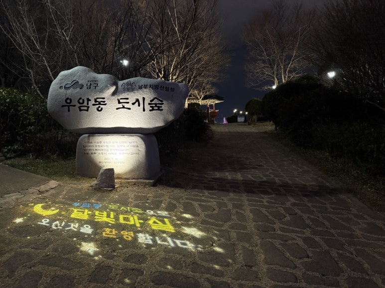 도시;숲;그리고 이미지