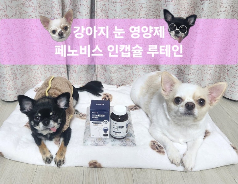 인 이미지