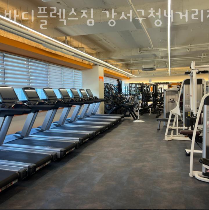 바디플렉스짐 이미지