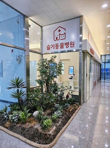 우남다방 이미지
