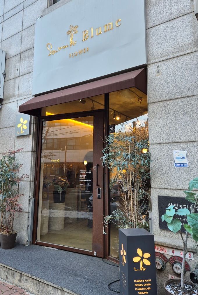 사라블루메 이미지