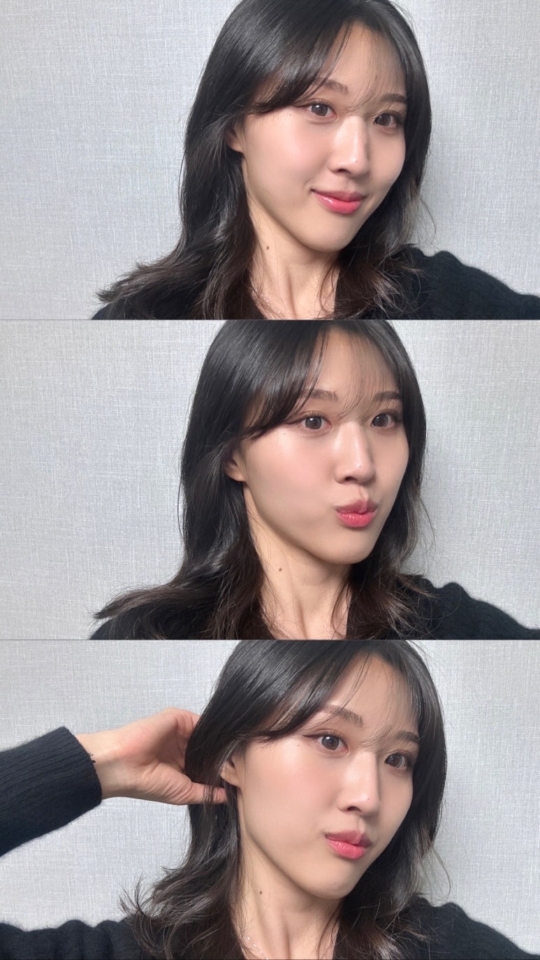 누오(nuo) 이미지