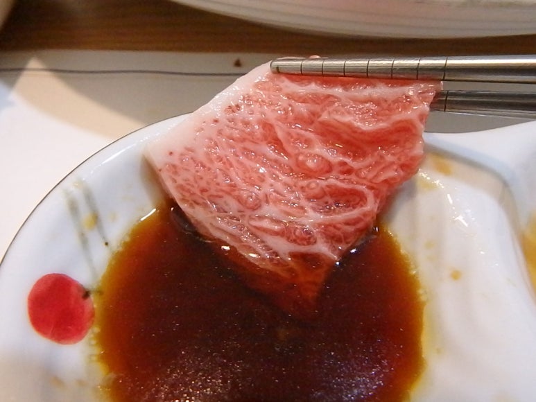 본참치 이미지