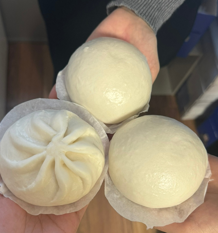탐라도야지2 이미지