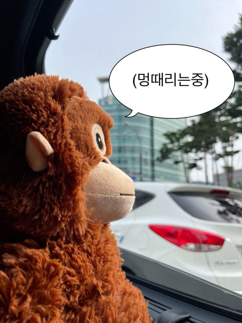 마싯지커피 이미지