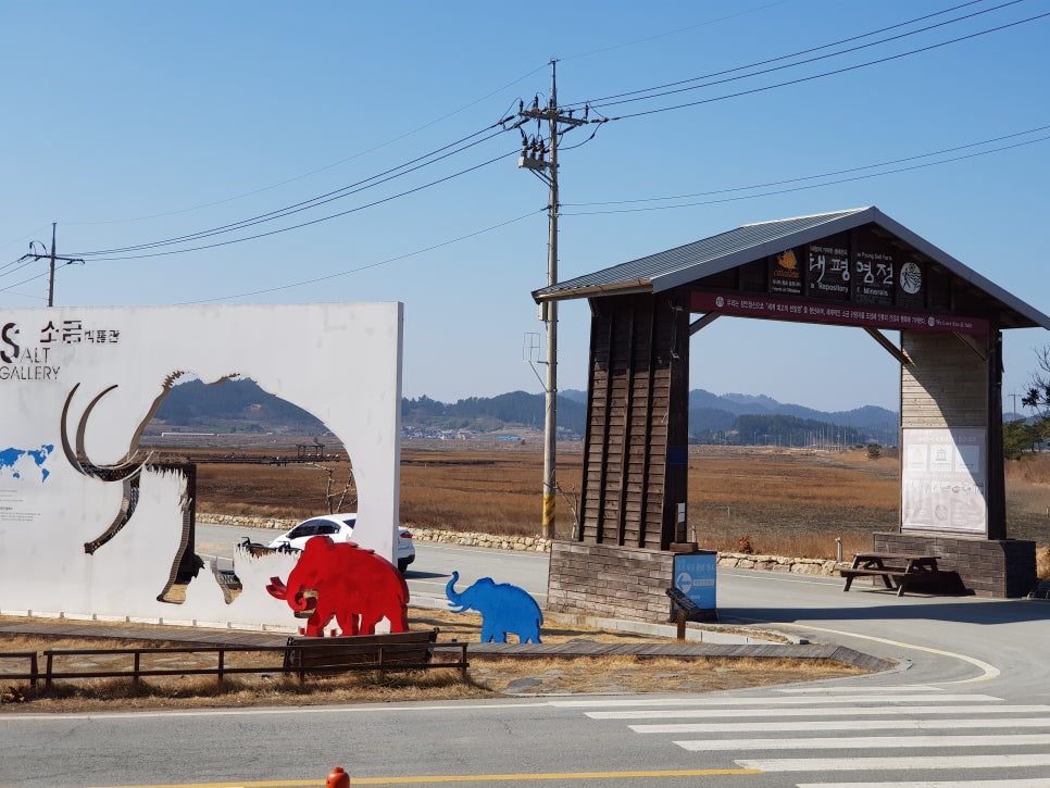태평여행사 이미지