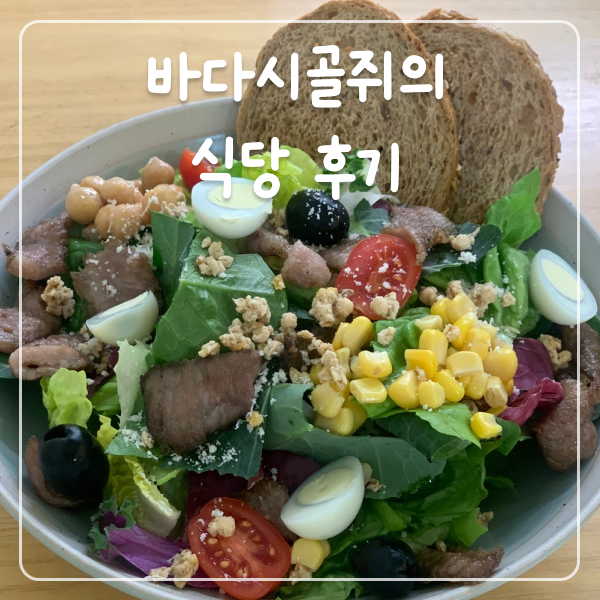 베르도네장안 이미지