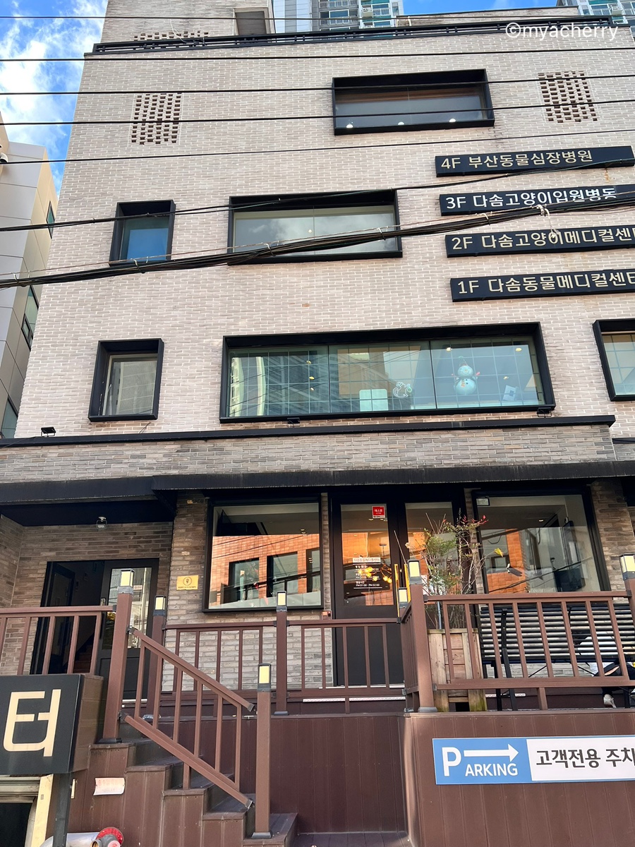 서치메디컬 이미지