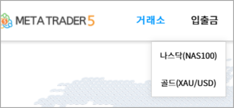 메타트레이드 이미지