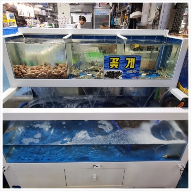 선희네수산 이미지