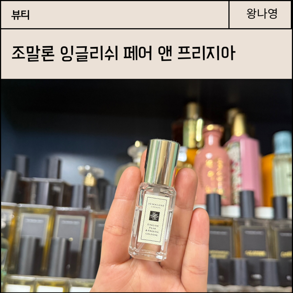 안앤조 이미지