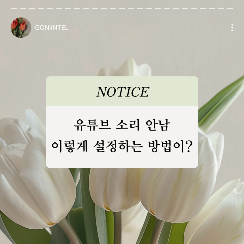 안*남 이미지