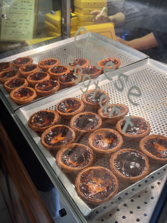 마카오박 이미지