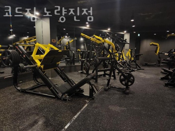 코드짐 이미지