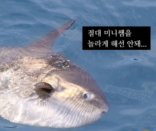 아이덴티(identi) 이미지