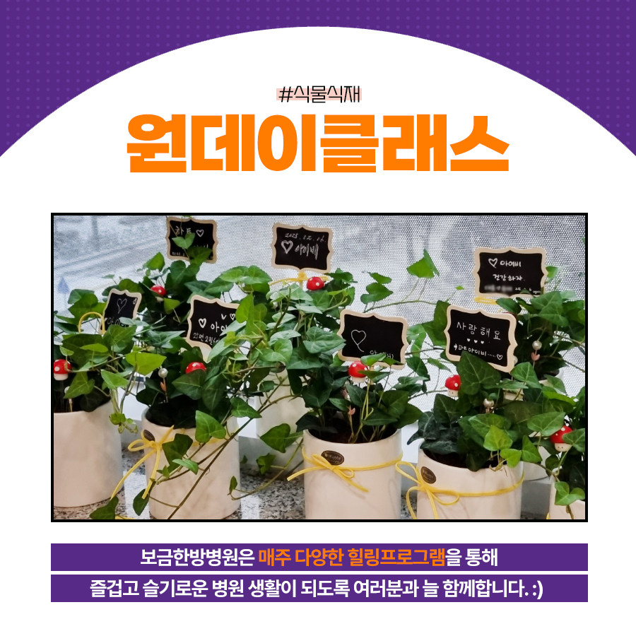 보금한방병원 이미지