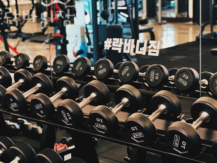 락바디짐 이미지