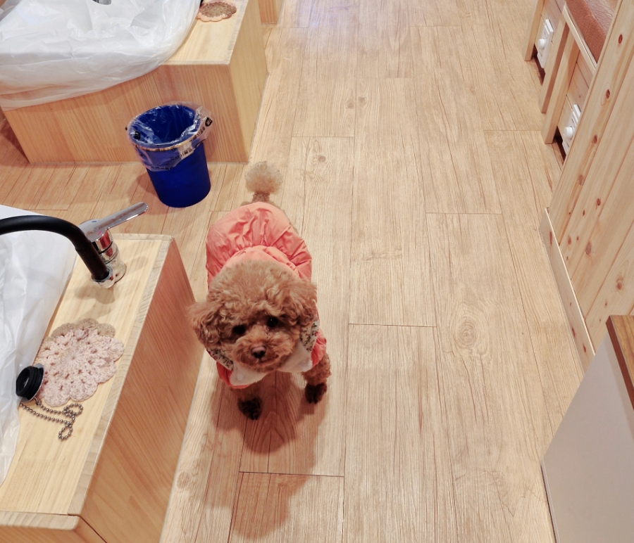 힐링다해소 이미지