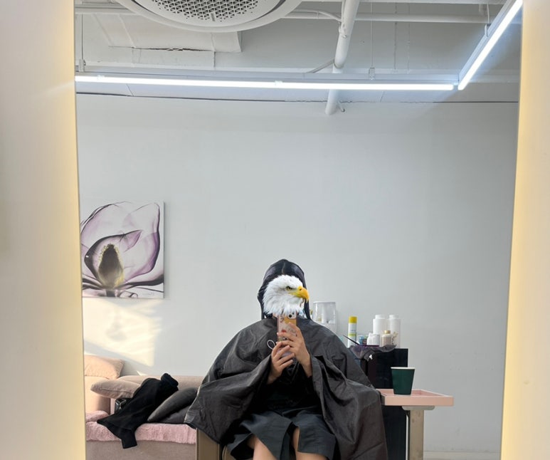 아델라헤어 이미지