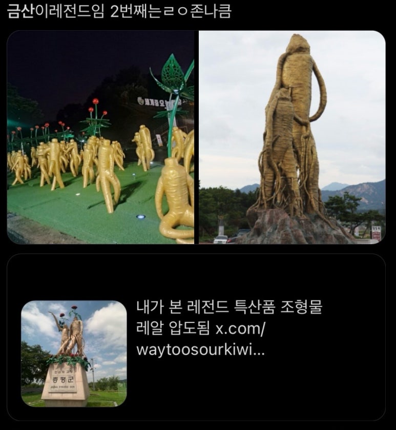 아리씨 이미지