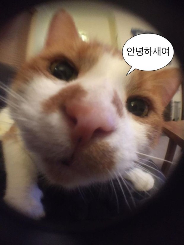 한마음치과 이미지