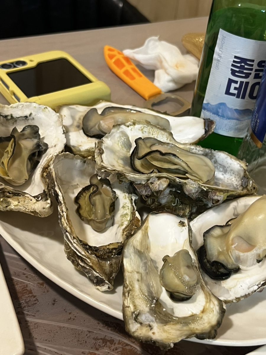 새통영다찌 이미지