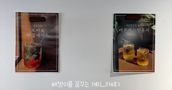 다과하제 이미지