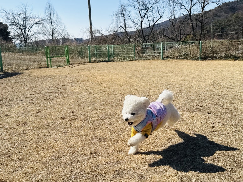 멍마르뜨 이미지
