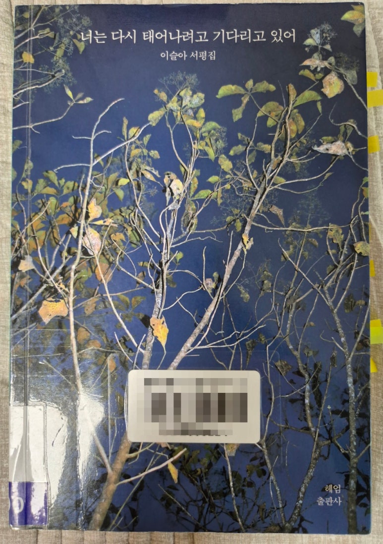 주식회사 컴퍼니소설 이미지