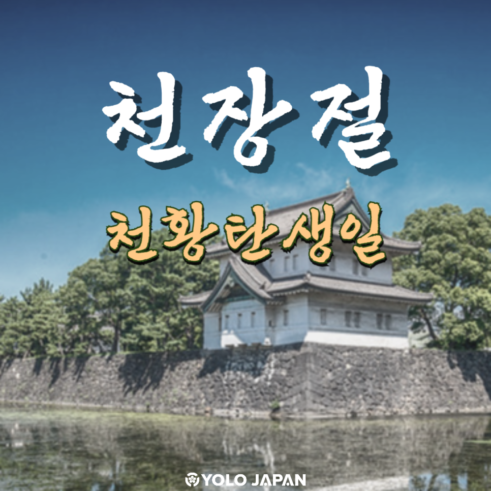 욜로왕 이미지