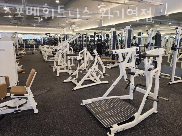 스포벡휘트니스 이미지